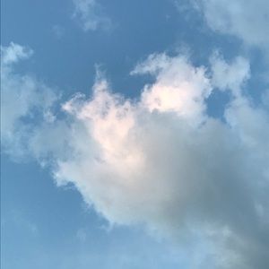 Meet your Posher, Marisa